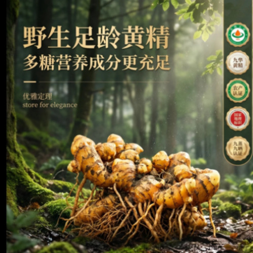 AIGC商业短片与品牌视觉案例